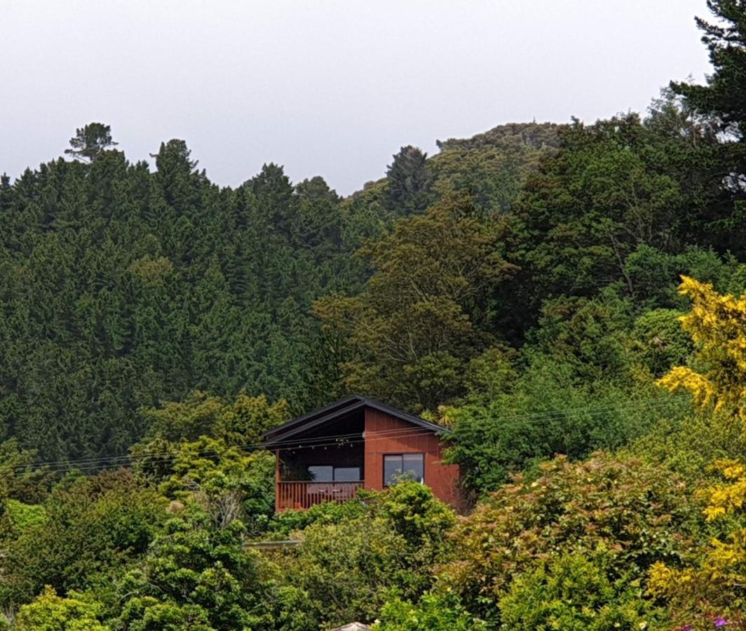 Garden View Cottages Picton Exterior photo